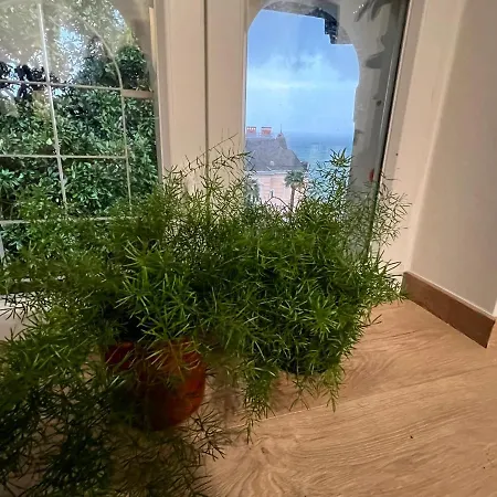 Mt70 Apartment *