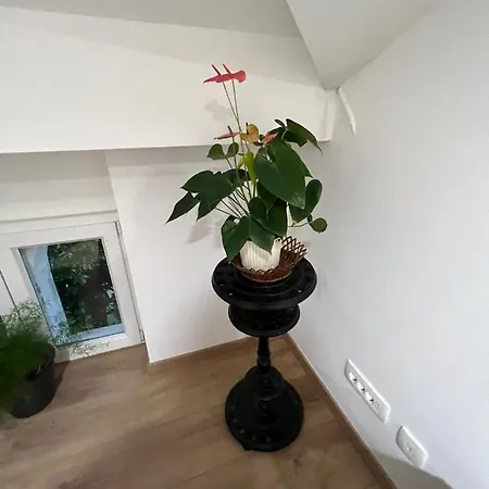 Apartment Mt70