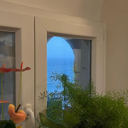 Apartment Mt70 *