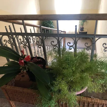 Apartment Mt70